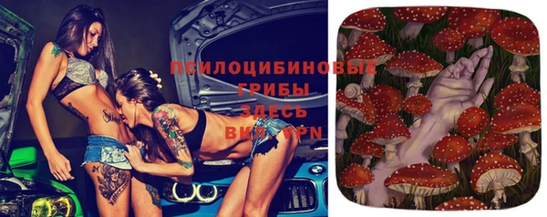 винт Нефтекумск