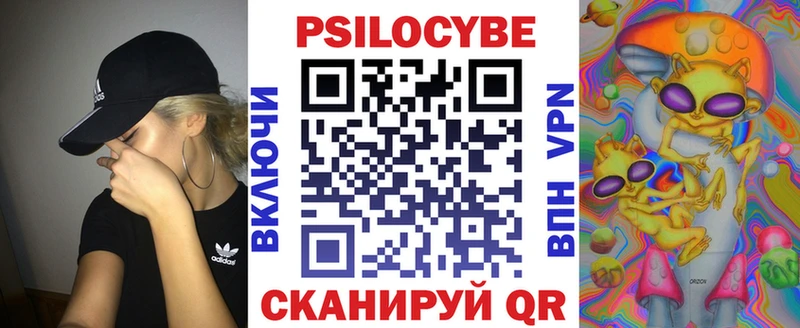 darknet наркотические препараты  купить   Серпухов  Галлюциногенные грибы MAGIC MUSHROOMS  KRAKEN как войти 